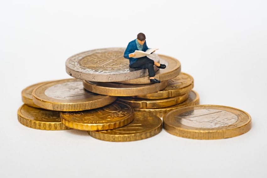Investment -