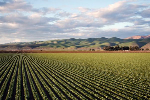 Agricultural - Photo of Green Field Near Mountains