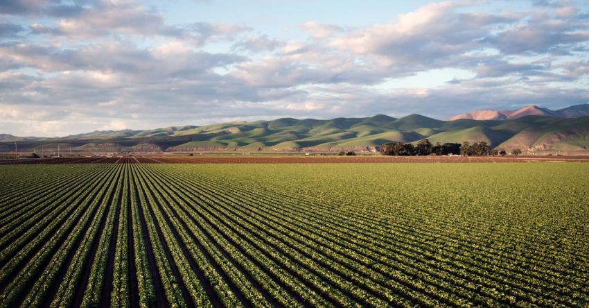 Agricultural - Photo of Green Field Near Mountains